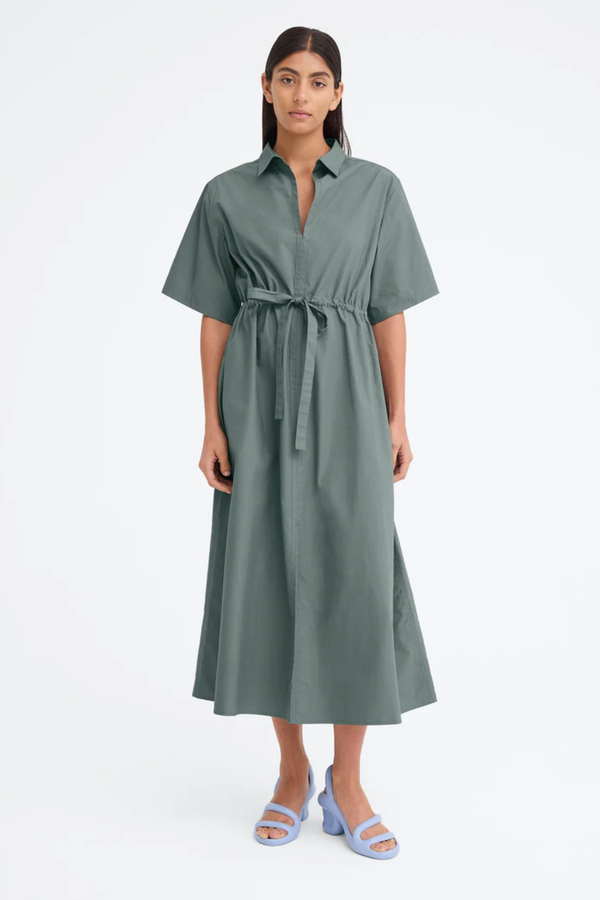 Zinc Dress Loden