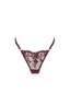 Nicolette Thong Raisin