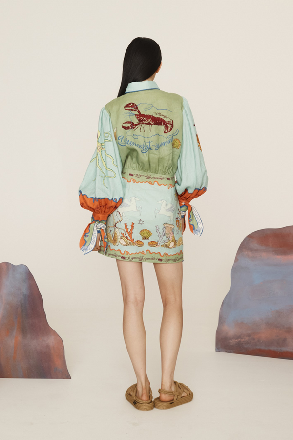 Surrealist Summer Mini Shirtdress