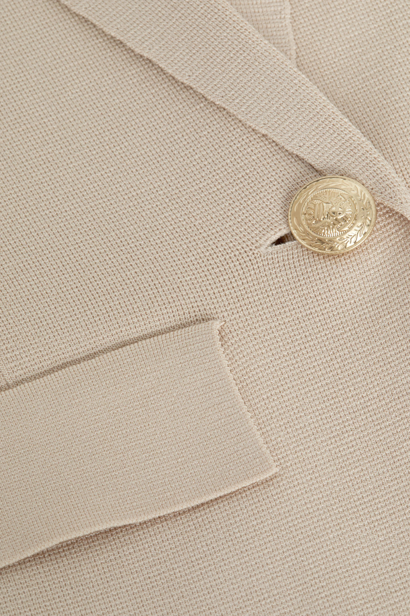 Chamberlain Knit Blazer Champagne/ Gold