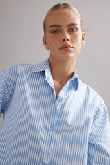 Vienna Shirt Blue Stripe