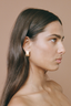 Turtle Earrings Gold