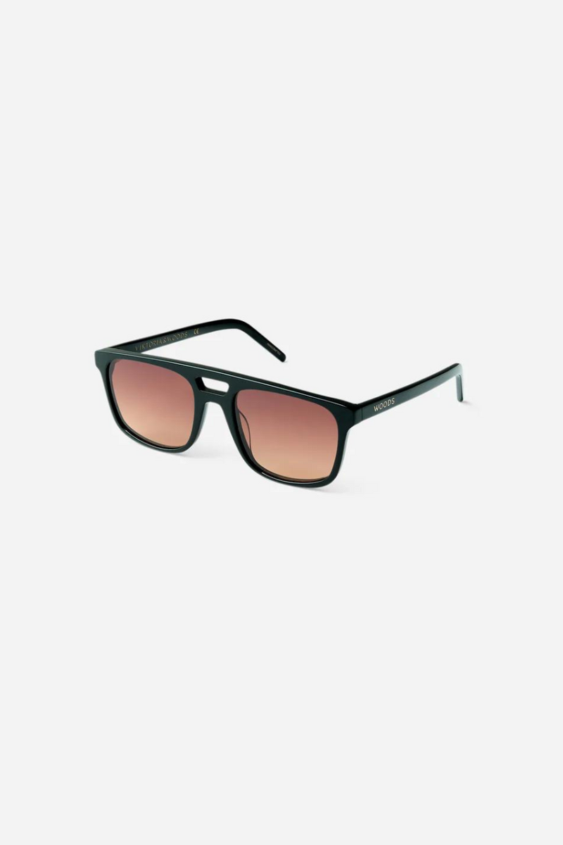 Sherwood Sunglasses Black Brown