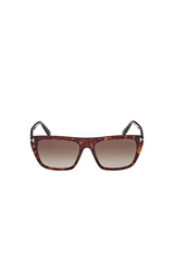 Aslan FT1175 52B 56 Dark Havana Gradient Smoke