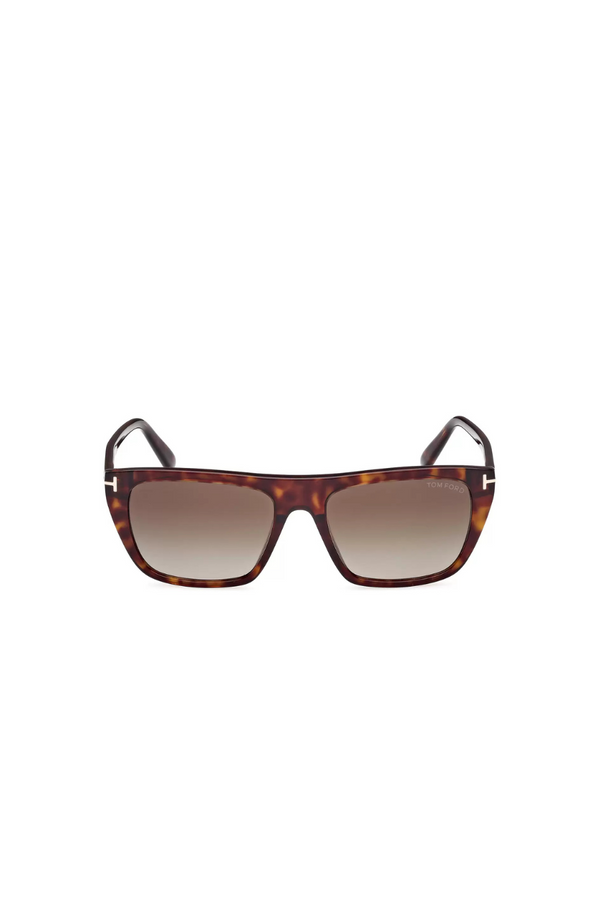 Aslan FT1175 52B 56 Dark Havana Gradient Smoke