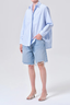 Aris Shirt Banks Stripe
