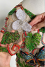 Cropped Embroidered Butterfly Top