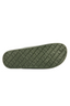 Cactus Slides